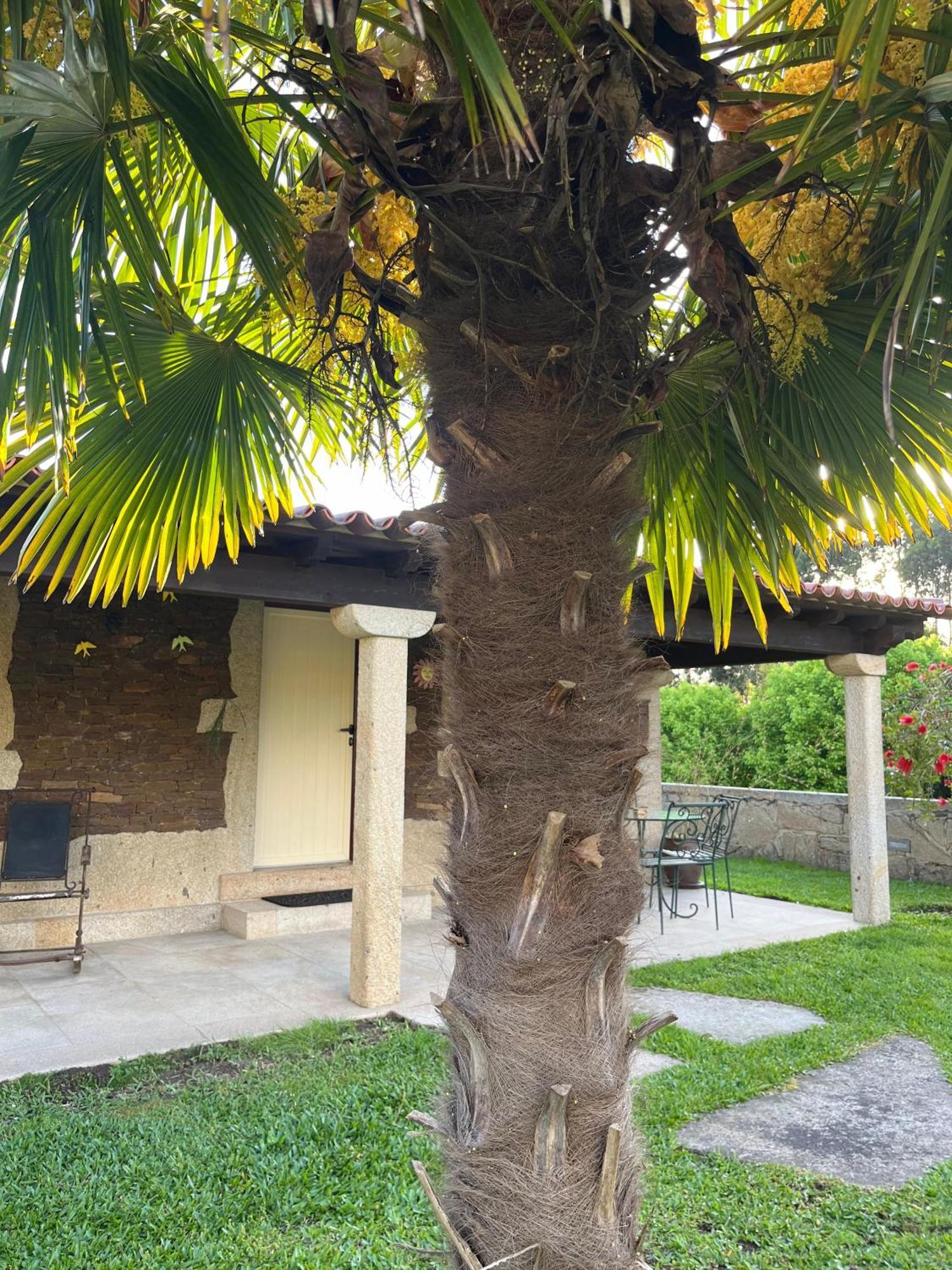 Villa Casas Do Picoutinho à Ponte de Lima Extérieur photo